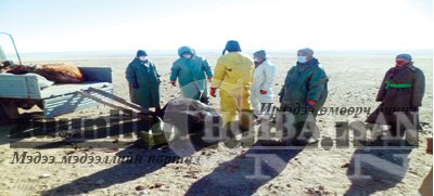 Шүлхийн голомтод ажилласан тэмдэглэл