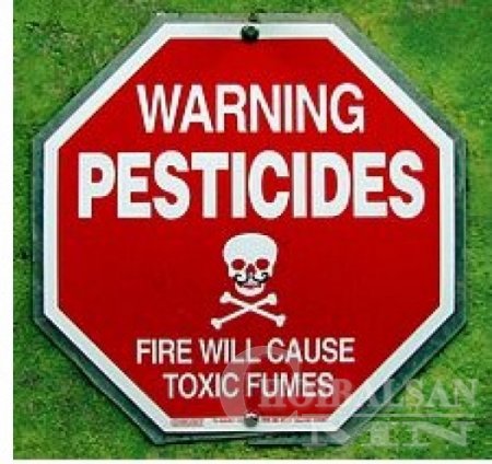 Пестицид бордоо биш юм шүү? дарга нар аа