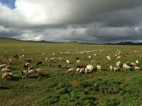 Онгон байгалийн сэдэвт гэрэл зургийн уралдаан эхэллээ