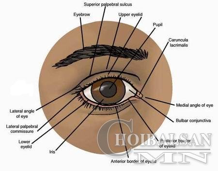 Нүдний доогуур хөхөрдөг, яаж арилгах вэ?