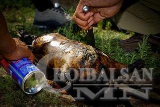 Сэрэмжлүүлэг