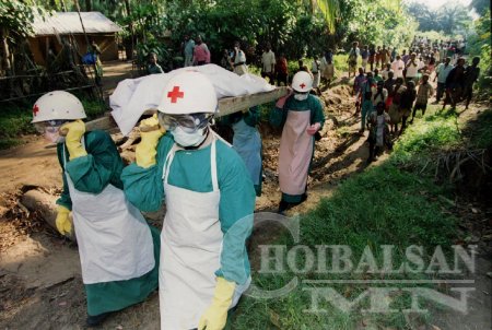 Эбола вирус зургаан сарын дотор 2.800 хүний амийг авч оджээ