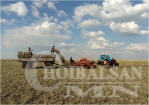 Өвөлжилт 90 гаруй хувьтай байна