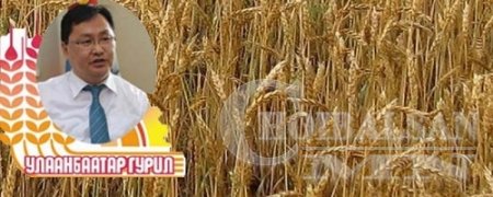 ҮАБЗ-ийн зөвлөмжгүйгээр эхний 200 вагон улаанбуудайг ОХУ-аас импортолж эхэл ...