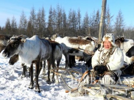 Цаачдад цаа өгөв