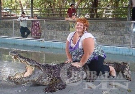 Элдэв сонирхолтой содон фото зургууд