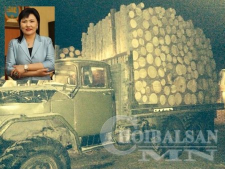 БОАЖ-ийн сайд Д.Оюунхорол модны хулгайчдад мод бэлтгэхийг үүрэгджээ