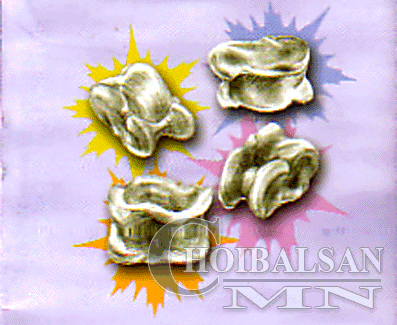 Мэдэхэд илүүдэхгүй Монгол ухаан