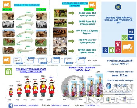 Инфографик: Дорнод аймгийн 2014 оны өрх, хүн, мал тооллогын дүн