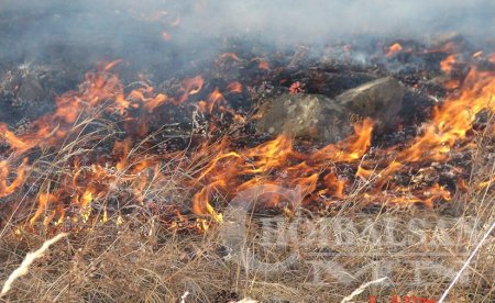 Дорнод, Сүхбаатар аймгуудад хээрийн түймэр гарчээ