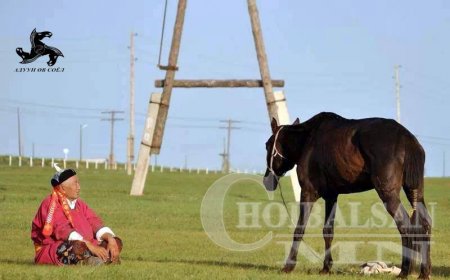 МУ-ын Тод манлай уяач Ц.Хэнмэдэхийн алдарт хар морь
