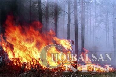 Түймрийн нөхцөл байдлын мэдээ /2015-04-22/