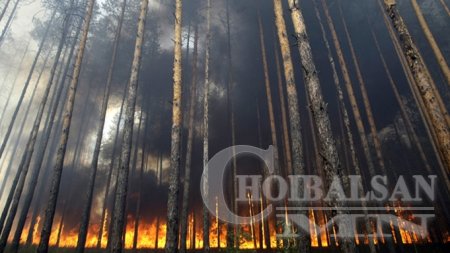 ОХУ түймрийн улмаас онц байдал зарлалаа