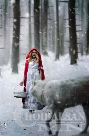 Фотошопын мастерууд