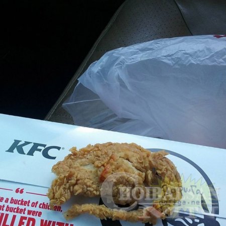 KFC-ийн сүлжээ үйлчлүүлэгчдээ шарсан харх өгч дуулиан тарьжээ