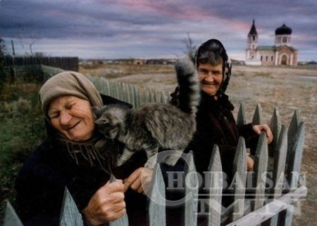 Заавал үзээрэй