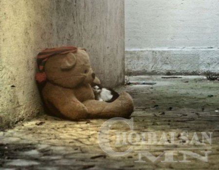 Заавал үзээрэй