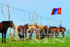 Аймгийн наадмуудын хуваарь