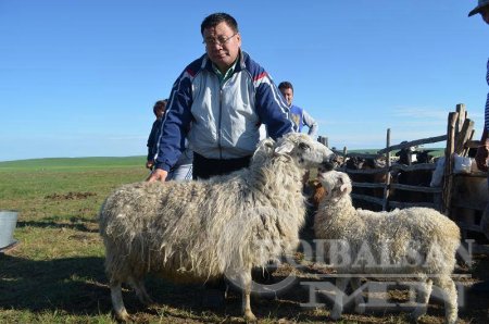 “БУРИАД” ХОНИНЫ ОМОГ БАТАЛГААЖЛАА