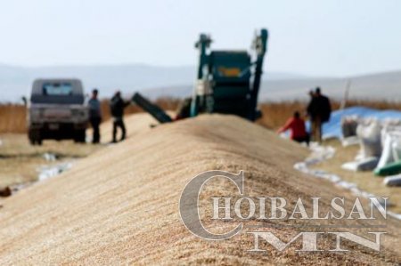 Улс төрд улаанбуудай дутаж гэнэ