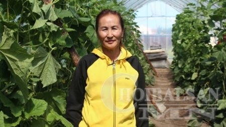 Д.Мөнхцэцэг: Бид нутагтаа эрүүл хүнс нийлүүлэх зорилготой ажиллаж байна