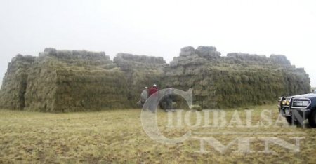 Аймгуудын өвс бэлтгэх ажил 10.2 хувьтай байна