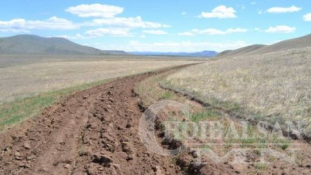 Хил хамгаалах зурваст ойн түймрээс хамгаалах зурвас татлаа