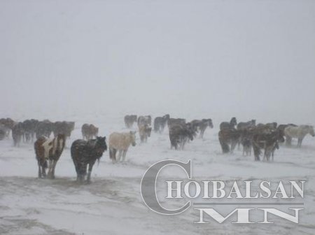 Нутгийн өмнөд хэсгээр бага зэргийн цас орж, явган шуурга шуурна
