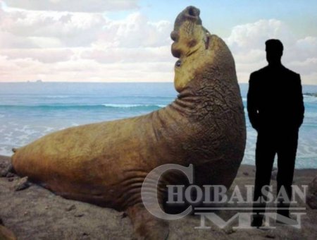 Дэлхийн хамгийн том 10 амьтан