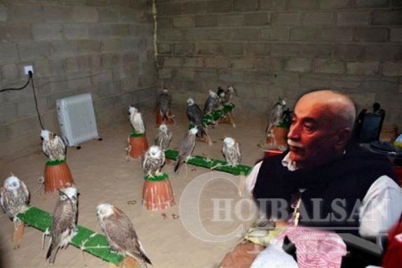 МОНГОЛ ШОНХОР гадагш нь зөөсөн Араб гаралтай Абдул Каримын БАЯЖСАН ТҮҮХ