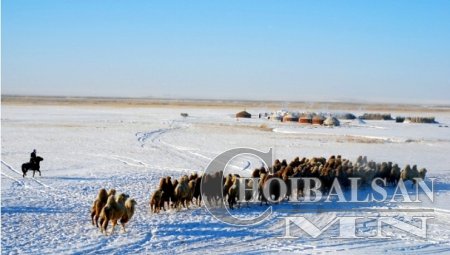 Сүхбаатар аймгийн 9 сум цагаан зудтай байна