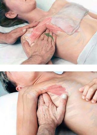 Хүний булчингийн ядаргааг тайлах бариа 