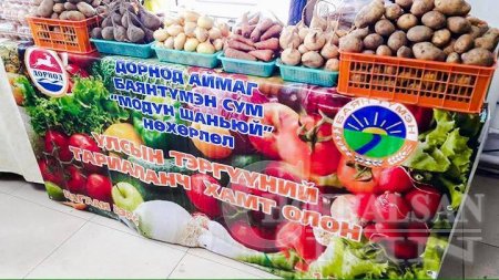 Дорнодынхоо баялаг бүтээгчдийг бид дэмжинэ... Чойбалсан эм эн сайт