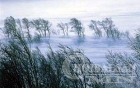 Зүүн зүгийн нутгаар цас орж, цасан шуурга шуурна