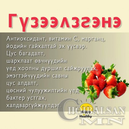 Хамгийн олдоцтой  хүнсний ногоо болон жимсний ашиг тус 