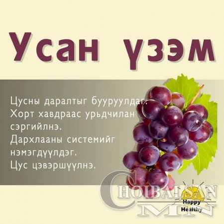 Хамгийн олдоцтой  хүнсний ногоо болон жимсний ашиг тус 