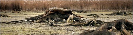 Байгаль ба ЭМЭГТЭЙ ХҮН /ФОТО/