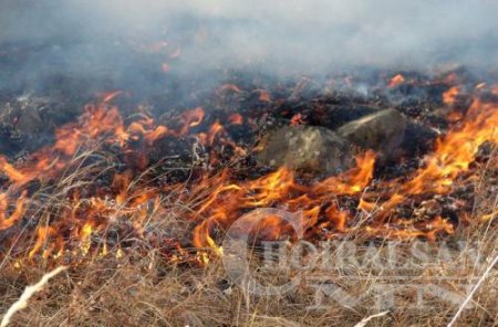 Дорнод, Сүхбаатар аймагт ой хээрийн түймэртэй байна