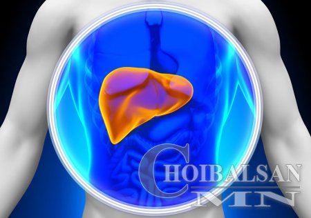 Элгээ хамгаалах аргууд