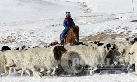 Малчны зээлийн хүүг бууруулж, малчдын тэтгэврийн насыг таван жилээр урагшлу ...