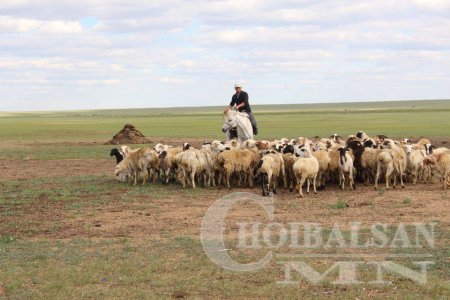 ЧУЛУУНХОРООТ СУМАНД 