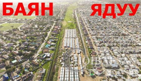 Баян ядуугийн ялгаа