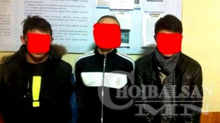 74 настай эмээг дээрэмдсэн этгээдүүдэд шүүхээс ял оноожээ