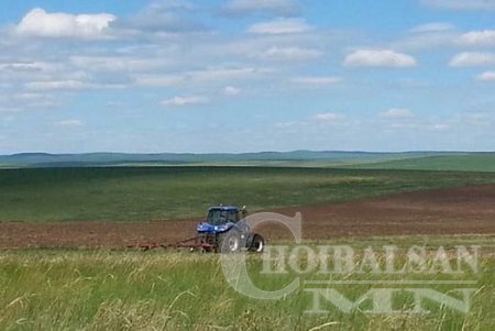 Дорнод аймаг ургацын 31,8 хувийг алдахаар байна