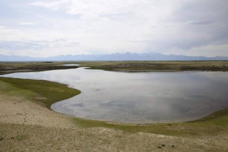 Монголын цөлжилтийн газрын зураг