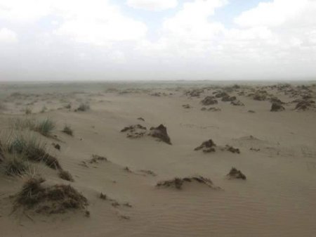 Монголын цөлжилтийн газрын зураг