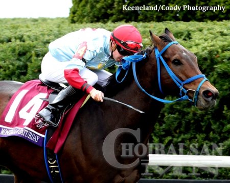 “Mongolian Saturday” хүлэг дахин түрүүллээ