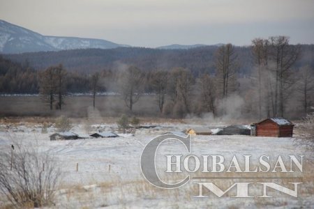 Өвөл ордог ОНОНГИЙН ХАЛУУН РАШААН