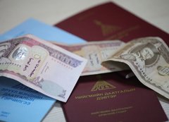 Тэтгэврийн даатгалын шимтгэл ба орлогын хяналт