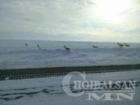 Дорнод аймгийн 10 суманд цасны зузаан 21-42 см байна